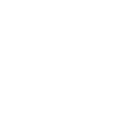 Roof repairs to safeguard your home.